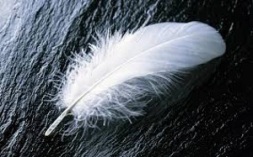 White feathers used to be given men who refused to enlist